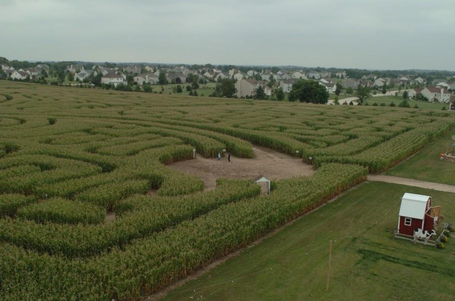 This is a view off of the observation tower at Richardson corn maze. 