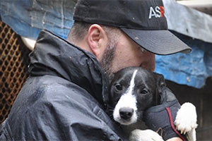 Photo from aspca.org