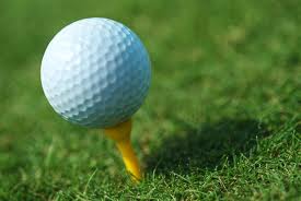 Boys Golf: Chipping Away at the Eagles