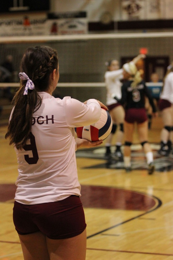 Senior+Mihovilovich+gets+ready+to+serve.