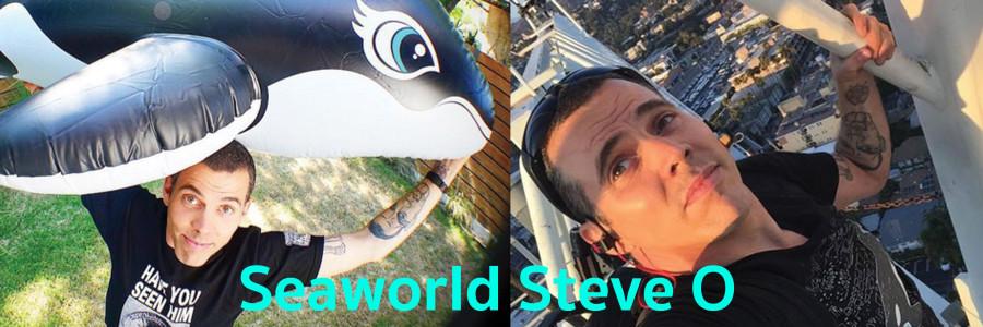 Steve O Seaworld Stunt