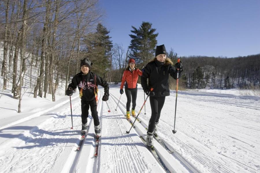 Cross Country Skiing Glides Sequoits in Wintertime Travel
