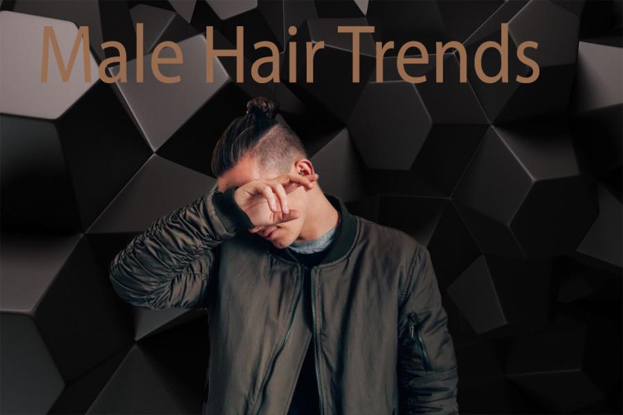 Male Hair Trends