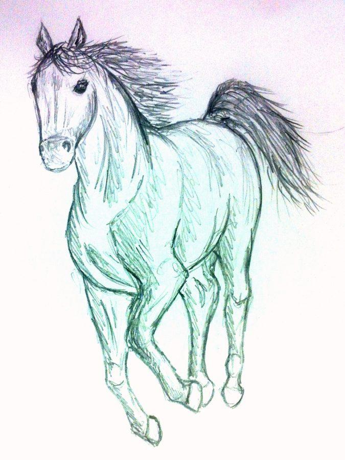 horse 3