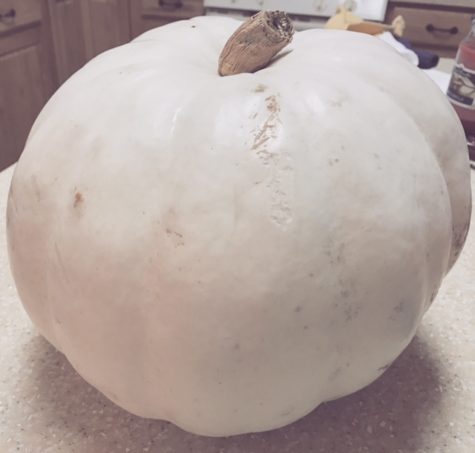 pumpkin-white