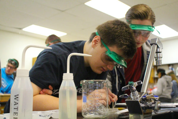 Intently, sophomores Sean McCarthy and Cole Connelly test the solubility of chemicals in Chemistry Honors. During the lab, the partners gathered results to determine which chemical compounds dissolved more easily in water. Caption by Piper Foote