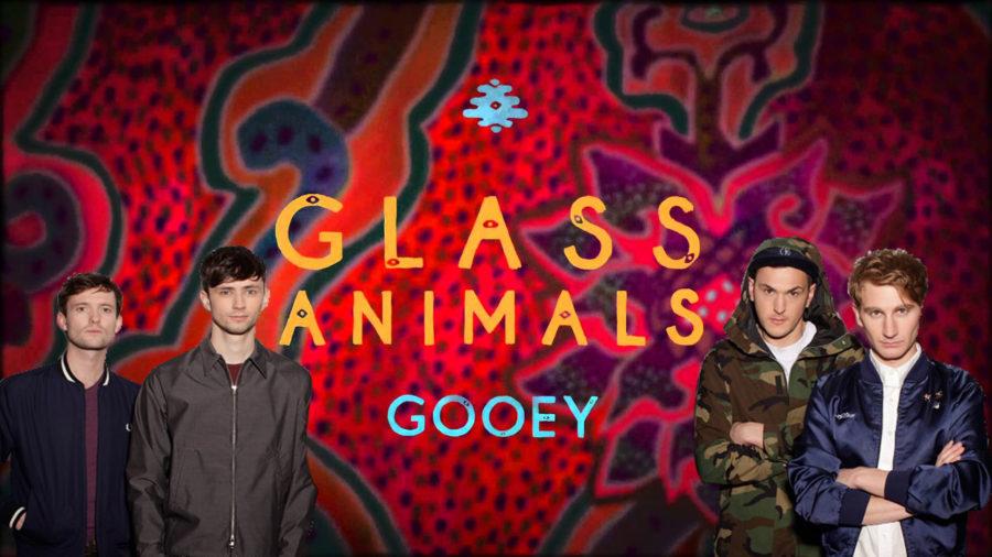 Rising Music: Glass Animals