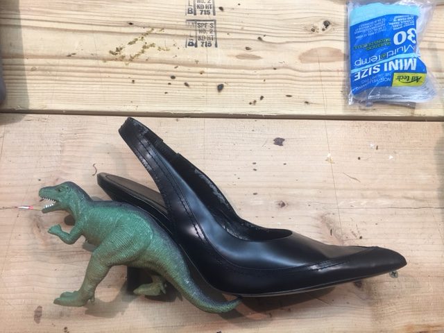 Compare height of dinosaurs to height of the heel of the shoe.