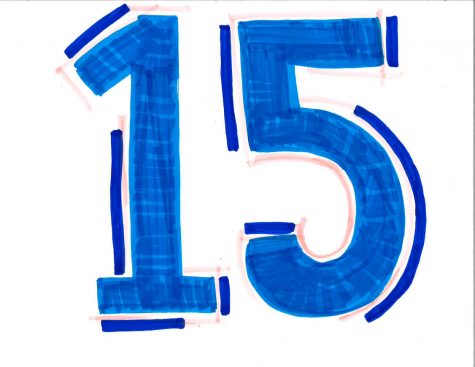 15 Things I Learned at 15