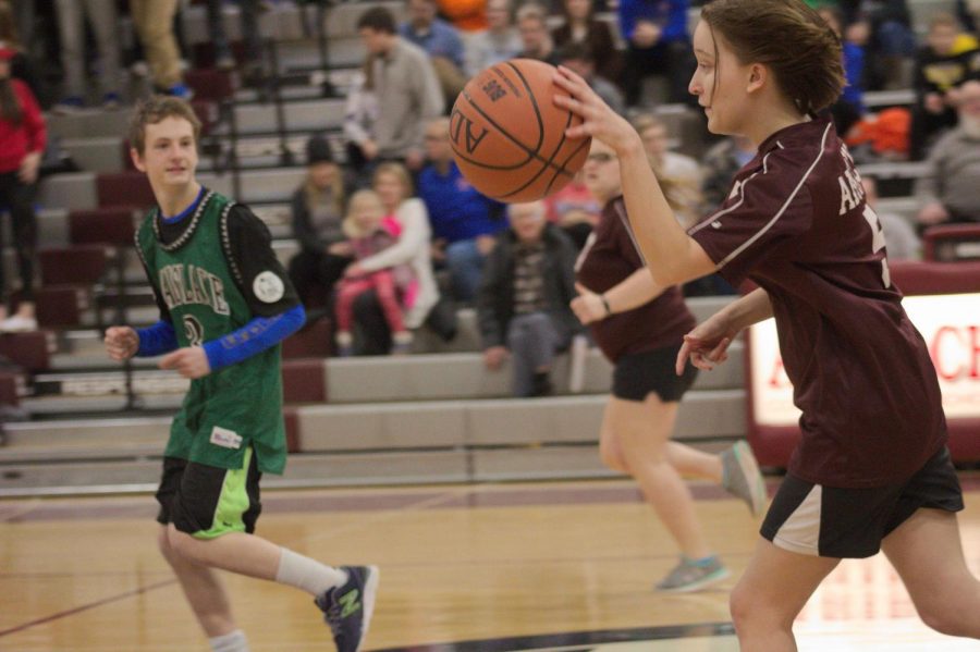 Way Up North Buddy Basketball Tournament Showcases Talent