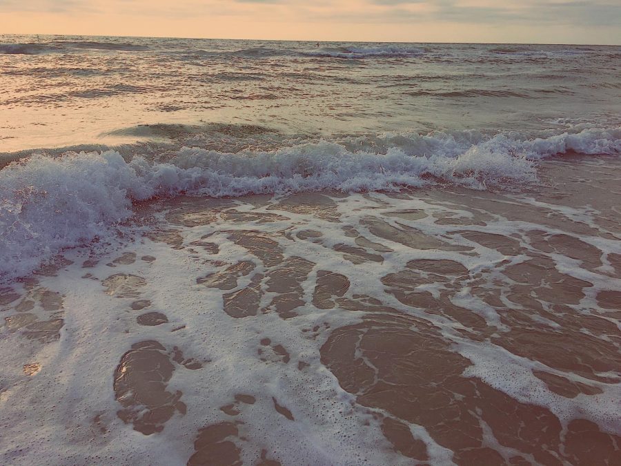 A beach, much similar to where Michelle Von Emsters body was found.