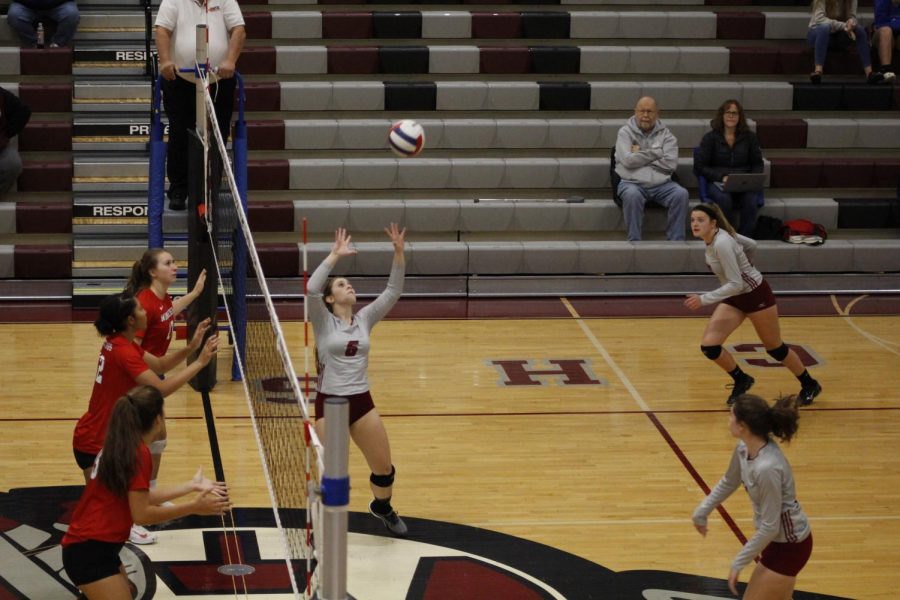 Sequoits Tamed by the Mustangs