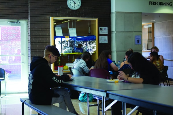 Sitting Isolated in the Lunchroom