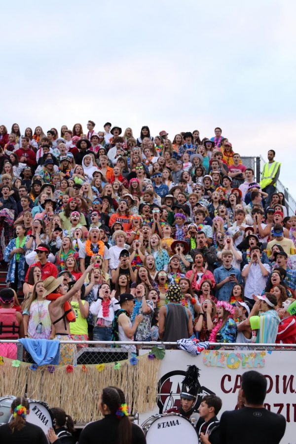 Cardinal Crazies impact school spirt by encouraging students to go to games with friends and dressing up in the planned themes. 