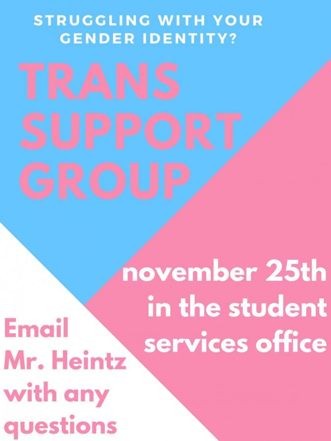 The transgender support group has flyers all across ACHS that will provide the information shown above and more. 