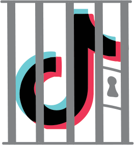 TikTok is locking away everyones information and could potentially use it for something dangerous. 