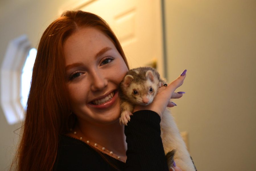 Junior Carissa Lozano poses with her pet ferret named Diego.