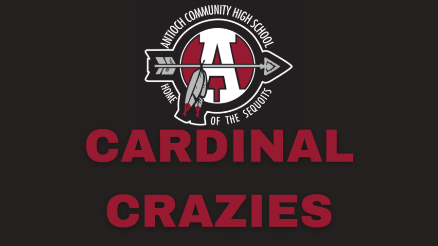 Cardinal+Crazies+are+always+there+to+excite+the+crowd+and+bring+on+the+school+spirit.