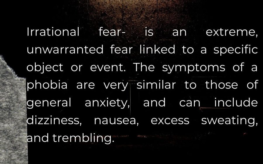 Fears+can+vary+from+person+to+person%2C+but+not+all+of+which+are+justified.