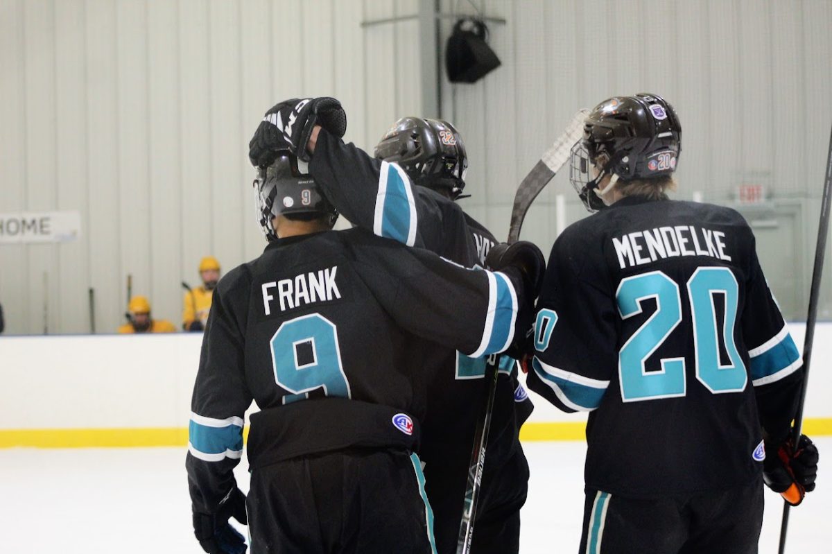 ACHS senior Alex Frank and sophomore Ethan Mendelke on the ice.