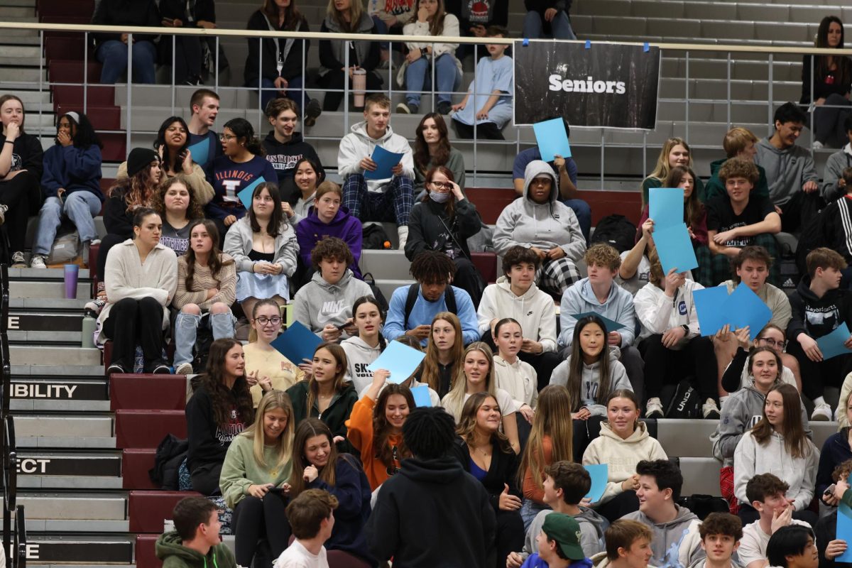 Senior section at the Polar Palooza pep assembly. 